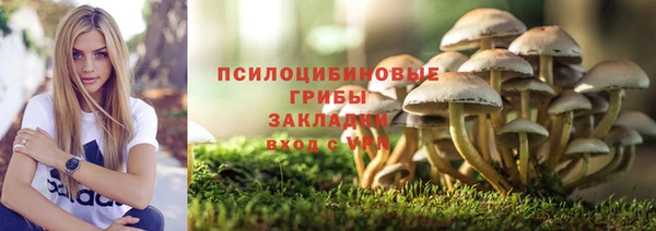 кристаллы Козельск