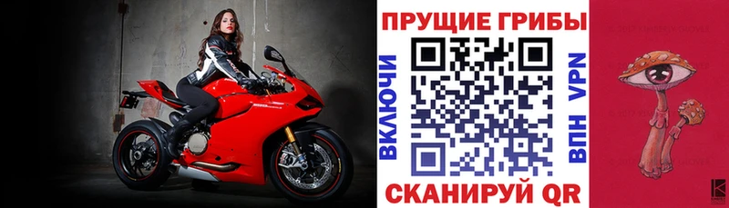 Купить закладки  Игарка  Псилоцибиновые грибы Psilocybine cubensis 